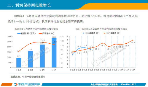2018年1-5月中國軟件行業經濟運行情況月度報告——軟件服務